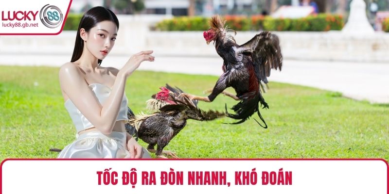 Tốc độ ra đòn nhanh, khó đoán